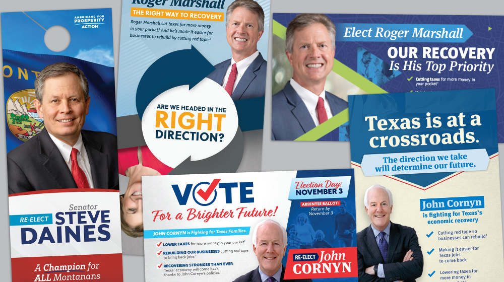 2020 Election Senate direct mail